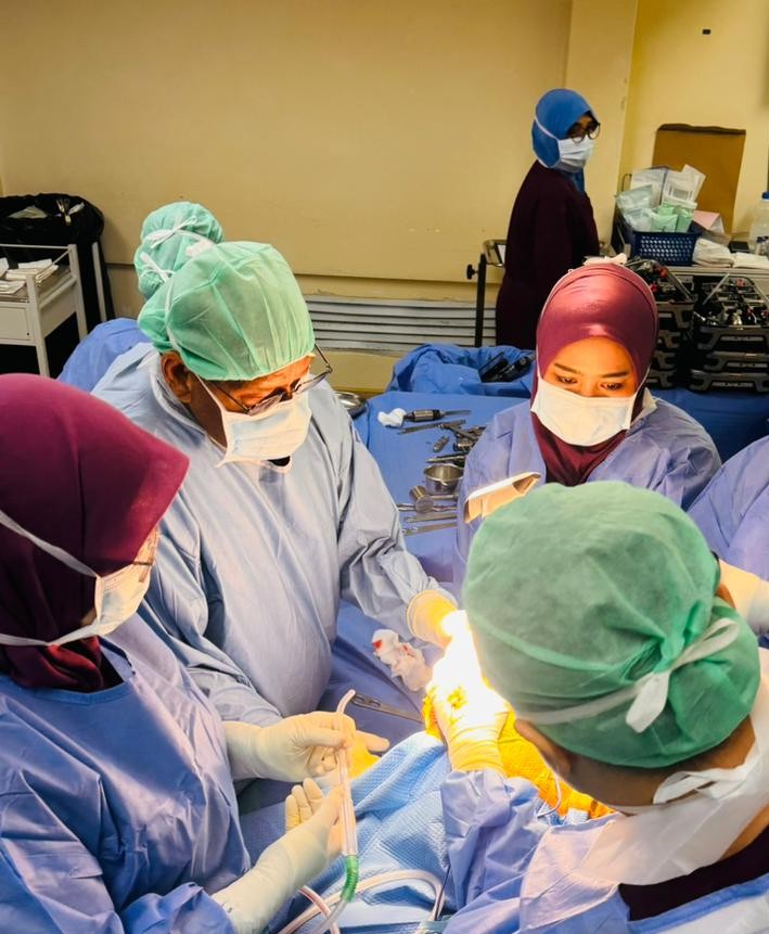 Surgical expertise in action